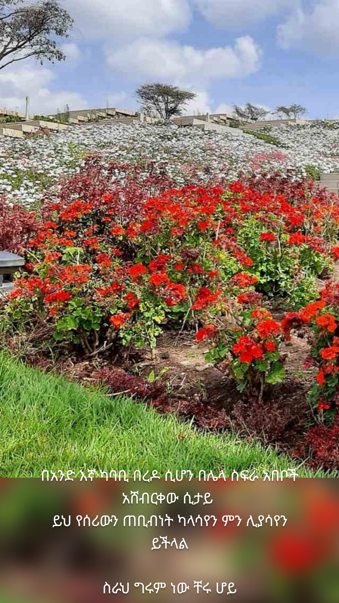 













በአንድ እኛ ካባቢ በረዶ ሲሆን በሌላ ስፍራ አበቦች አሸብርቀው ሲታይ 
ይህ የሰሪውን ጠቢብነት ካላሳየን ምን ሊያሳየን ይችላል

ስራህ ግሩም ነው ቸሩ ሆይ